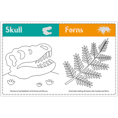 My First Colour and Learn: Dinosaurs image number 3
