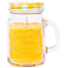 Citronella Candle Jar: Assorted image number 1