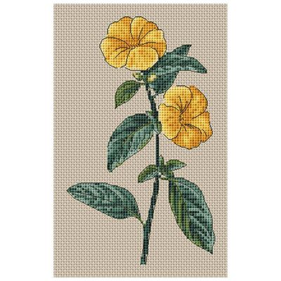 Floragenius Counted Cross Stitch Kit: Linum Trigynum image number 2