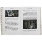 First Contact: The Cult of Progress image number 2