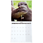 British Wildlife 2026 Calendar & Diary Set image number 3