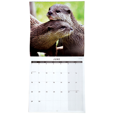 British Wildlife 2026 Calendar & Diary Set image number 3