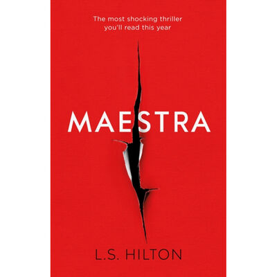 Maestra image number 1