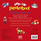 Pop-Up Peekaboo! Things That Go image number 2