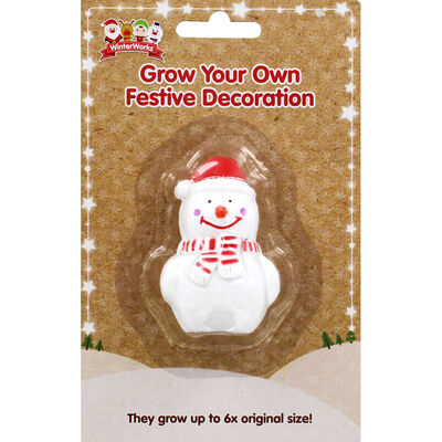 Grow Your Own Festive Decoration: Assorted image number 1