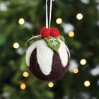 Festive Needle Felting Kit: Christmas Pudding image number 2