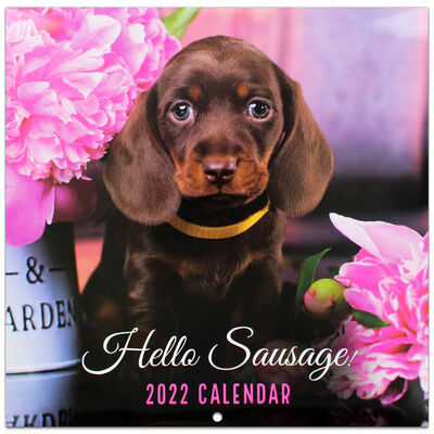 Hello Sausage 2022 Square Calendar image number 1