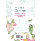 The Kew Gardens: Enchanting Colouring Book image number 2