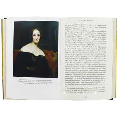 In Search of Mary Shelley image number 2