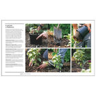 Royal Horticultural Society: How to Garden image number 3