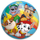 5 Inch Paw Patrol Football image number 1
