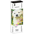 Diamond Painting: Dog image number 1