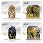 4S Vision Wild Cats 37 Piece 3D Jigsaw Puzzle image number 3