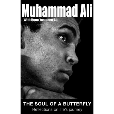 The Soul of a Butterfly image number 1