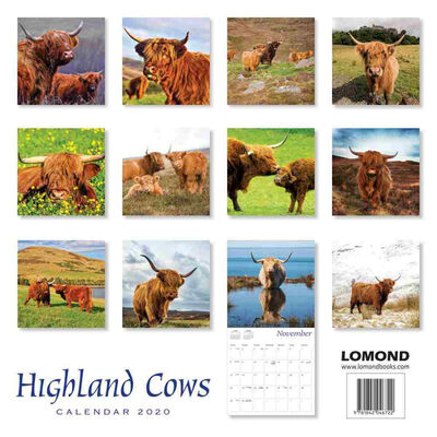 Highland Cows 2020 Square Calendar image number 2