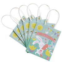 Hello Spring Treat Bags: Pack of 6