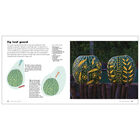 Decorating Pumpkins & Gourds image number 2