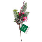 Festive Berry Foliage image number 1