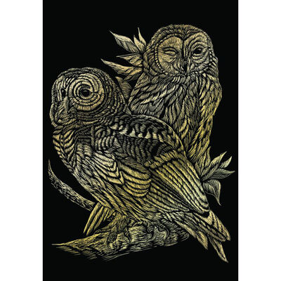 A4 Engraving Art Set: Owls image number 2