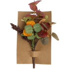 Eucalyptus Foliage Pick image number 1