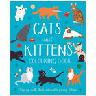 Cats and Kittens Colouring Book image number 1