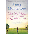 Meet Me Under the Ombu Tree image number 1