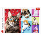 Happy Cats 1000 Piece Jigsaw Puzzle image number 1