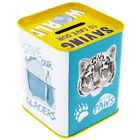 National Geographic Money Box image number 2