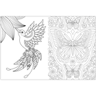 Inspirational Colouring: Butterflies and Birds image number 3