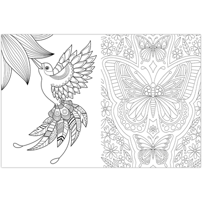 Inspirational Colouring: Butterflies and Birds image number 3