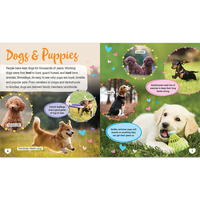 Super Cute Pets