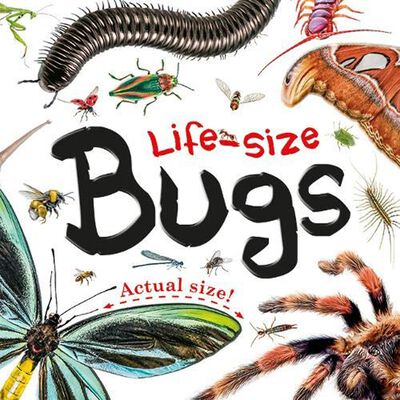 Life-Size Bugs image number 1