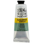 Galeria Acrylic Paint: Pale Olive 60ml image number 1