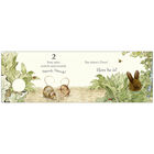 Peter Rabbit Finger Puppet Book image number 3