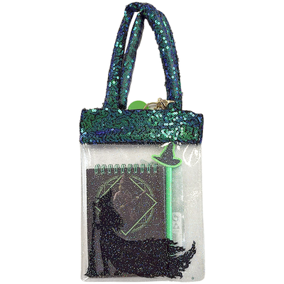 Wicked Mini Diary Set in a Bag: Assorted image number 2