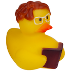 Rubber Duck: Assorted image number 8