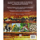 Illustrated Encyclopedia of Birds image number 2