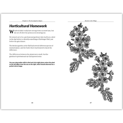 The Murder Mystery Club Puzzle Book: Murder in the Village image number 4