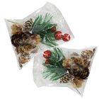 Red Christmas Foliage: 32g image number 1