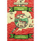 Hometown Tales: Wales image number 1