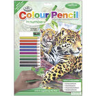 Colour By Numbers Kit: Jaguar image number 1