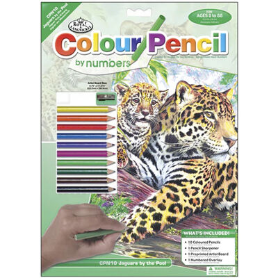 Colour By Numbers Kit: Jaguar image number 1