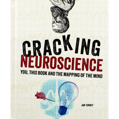 Cracking Neuroscience image number 1