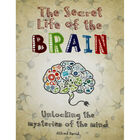 The Secret Life of the Brain image number 1