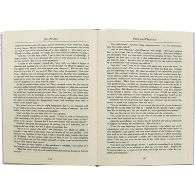 Pride & Prejudice image number 2