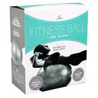 Grey Fitness Ball - 65cm image number 1