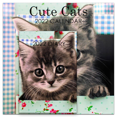 Kittens For Christmas 2022 Cute Cats 2022 Square Calendar And Diary Set From £0.75 | The Works