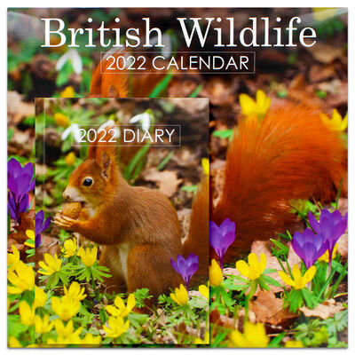 British Wildlife 2022 Square Calendar and Diary Set image number 1