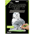 A4 Engraving Art Set: Snow Owls image number 1