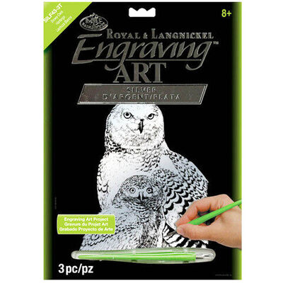 A4 Engraving Art Set: Snow Owls image number 1